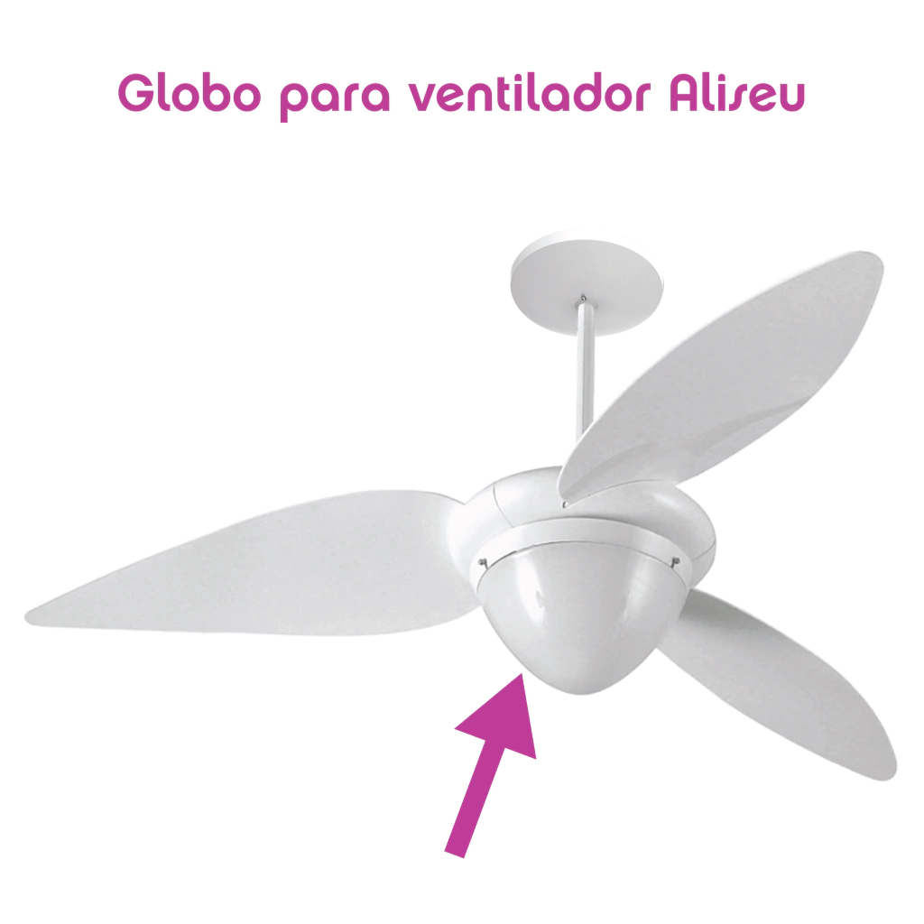 aliseu_1l21-2241012b253b0dd95b16950476126340-1024-1024