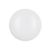 Globo Ventilador de Teto Aliseu Tulipa